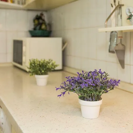 Apartman Melvan * سبليت